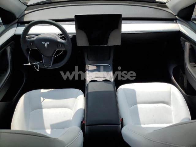 2023 TESLA MODEL Y (VIN 7SAYGDEE2PF894298) main photo