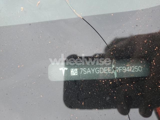 2023 TESLA MODEL Y (VIN 7SAYGDEE2PF941250) main photo