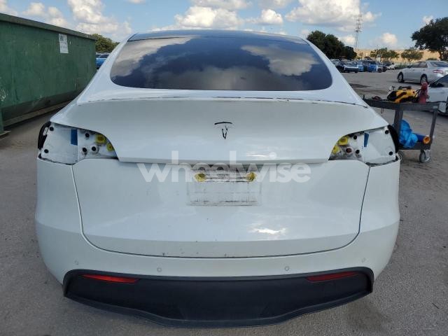2021 TESLA MODEL Y (VIN 7SAYGDEE3NF375323) main photo