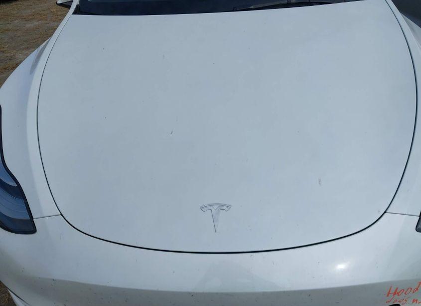 Photo 10 of 2023 Tesla Model Y AWD/LONG RANGE DUAL MOTOR ALL-WHEEL DRIVE (VIN 7SAYGDEE3PA085924)