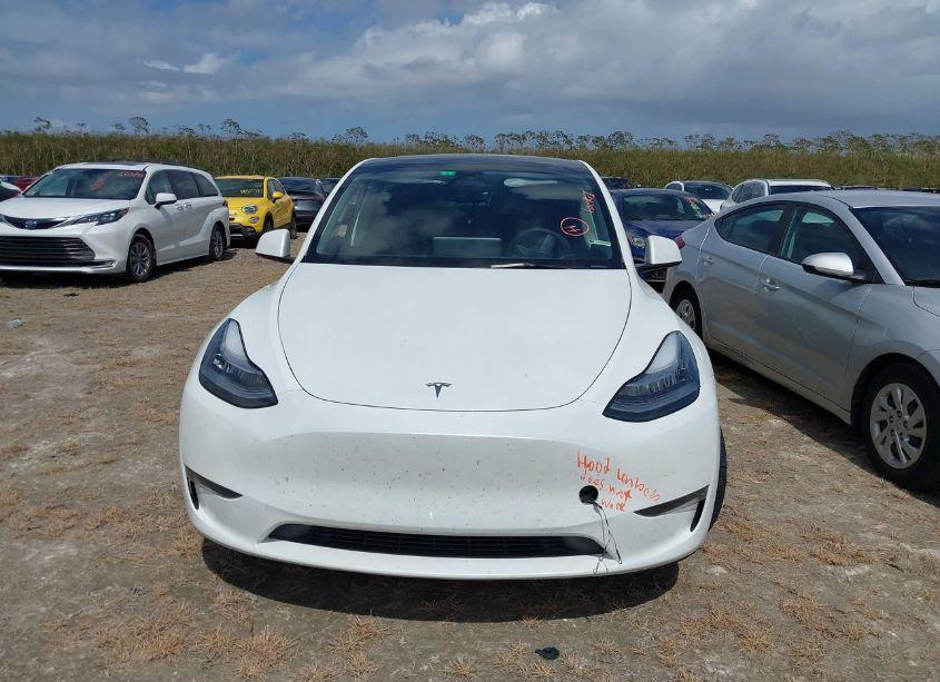 Photo 11 of 2023 Tesla Model Y AWD/LONG RANGE DUAL MOTOR ALL-WHEEL DRIVE (VIN 7SAYGDEE3PA085924)