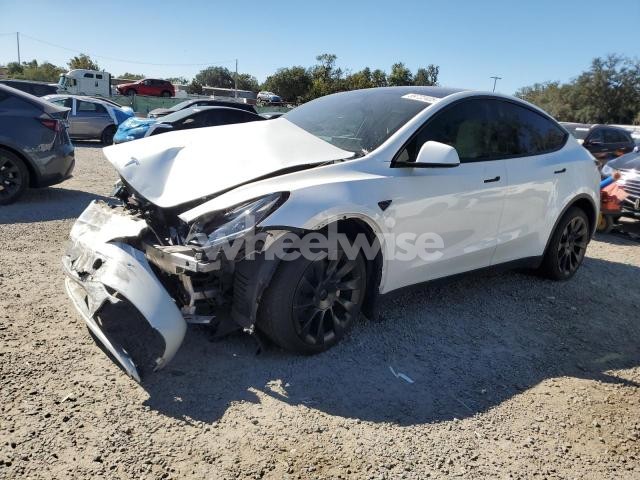 Photo 3 of 2023 TESLA MODEL Y (VIN 7SAYGDEE3PA211294)