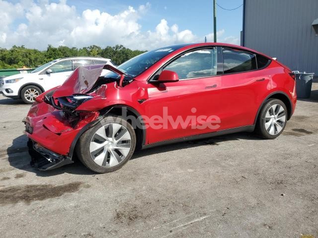 2023 TESLA MODEL Y (VIN 7SAYGDEE3PF771187) main photo