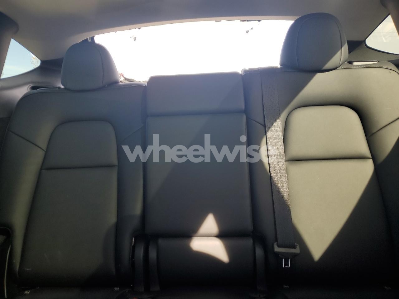 Photo 10 of 2024 TESLA MODEL Y (VIN 7SAYGDEE3RA218426)