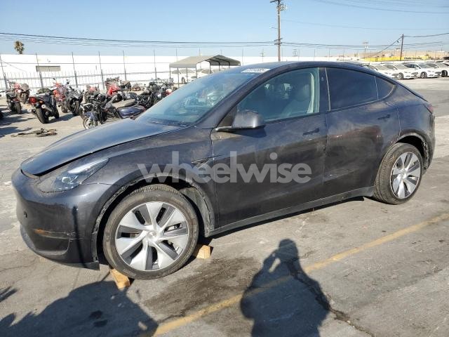 2024 TESLA MODEL Y (VIN 7SAYGDEE3RA256741) main photo