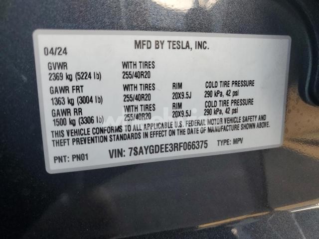 2024 TESLA MODEL Y (VIN 7SAYGDEE3RF066375) main photo