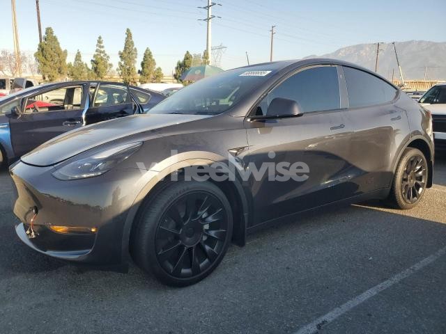 Photo 11 of 2024 TESLA MODEL Y (VIN 7SAYGDEE3RF066375)