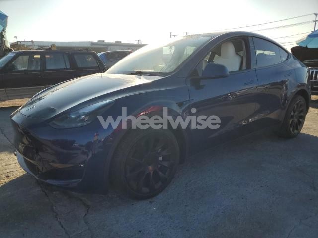 2024 TESLA MODEL Y (VIN 7SAYGDEE3RF082981) main photo