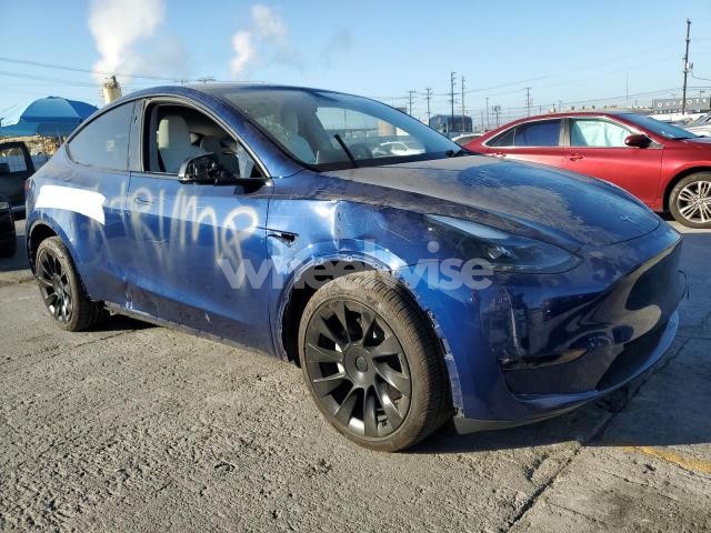 Photo 11 of 2024 TESLA MODEL Y (VIN 7SAYGDEE3RF082981)