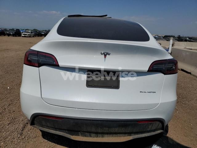 2024 TESLA MODEL Y (VIN 7SAYGDEE3RF154326) main photo