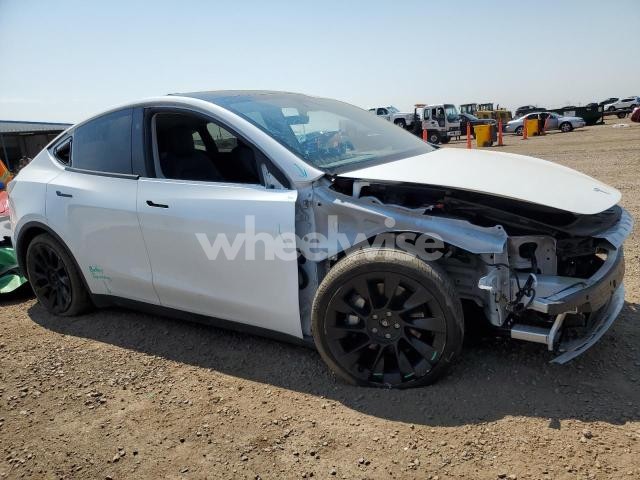 Photo 14 of 2024 TESLA MODEL Y (VIN 7SAYGDEE3RF154326)