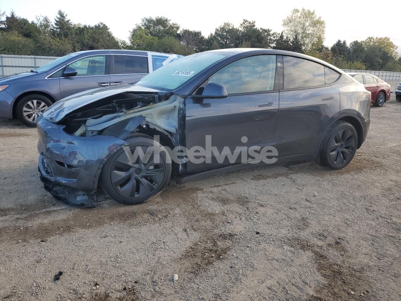 2025 TESLA MODEL Y (VIN 7SAYGDEE3SF284127) main photo