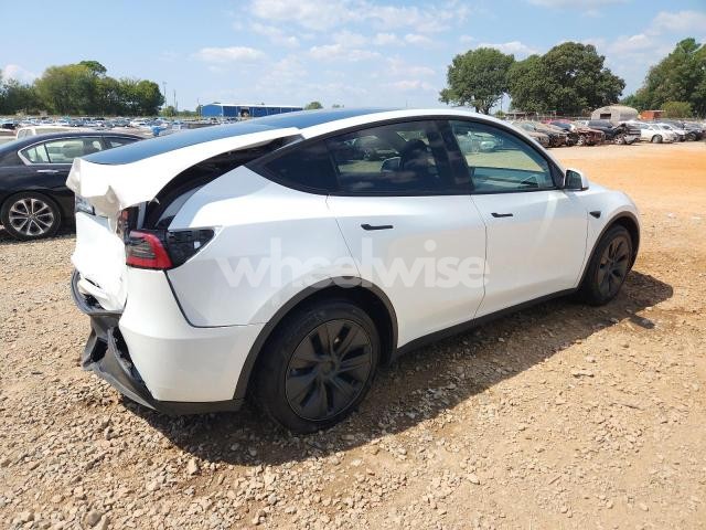 2025 TESLA MODEL Y (VIN 7SAYGDEE3SF295788) main photo