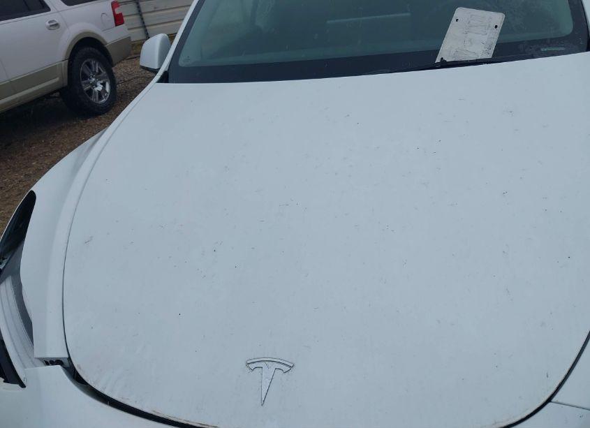 Photo 10 of 2023 Tesla Model Y AWD/LONG RANGE DUAL MOTOR ALL-WHEEL DRIVE (VIN 7SAYGDEE4PA044556)