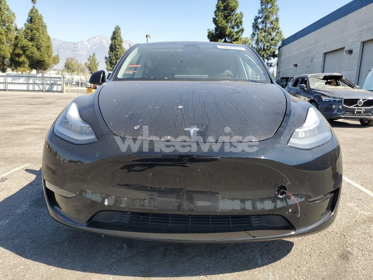 Photo 5 of 2023 TESLA MODEL Y (VIN 7SAYGDEE4PA098083)