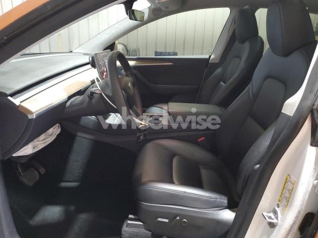 2023 TESLA MODEL Y (VIN 7SAYGDEE4PA099296) main photo