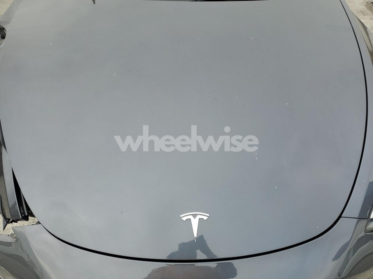 Photo 12 of 2023 TESLA MODEL Y (VIN 7SAYGDEE4PA155852)