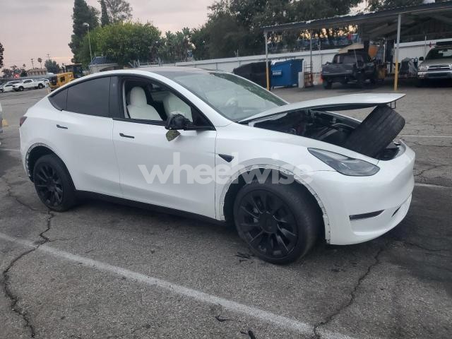 Photo 13 of 2023 TESLA MODEL Y (VIN 7SAYGDEE4PF624392)