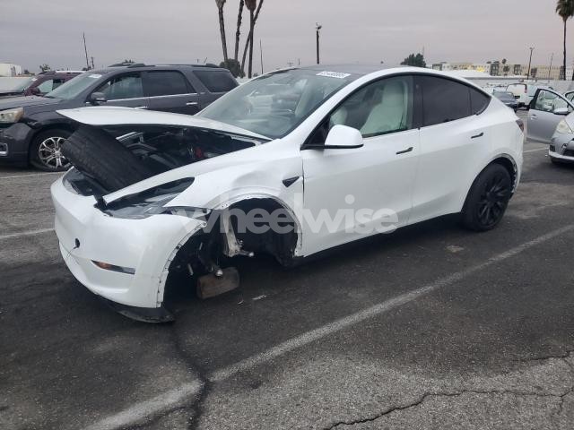 Photo 3 of 2023 TESLA MODEL Y (VIN 7SAYGDEE4PF624392)