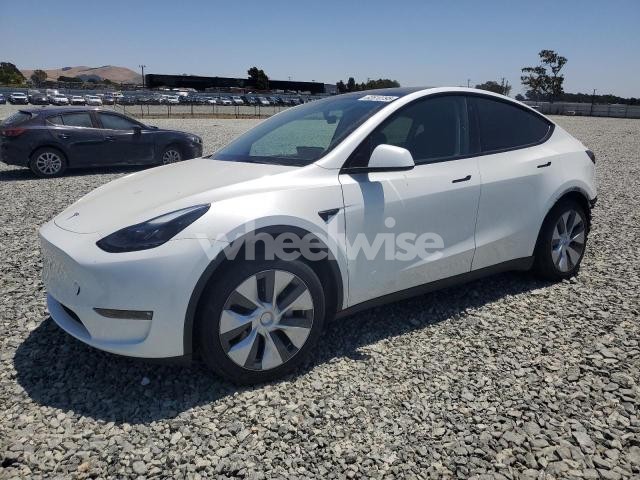 Photo 3 of 2023 TESLA MODEL Y (VIN 7SAYGDEE4PF785664)