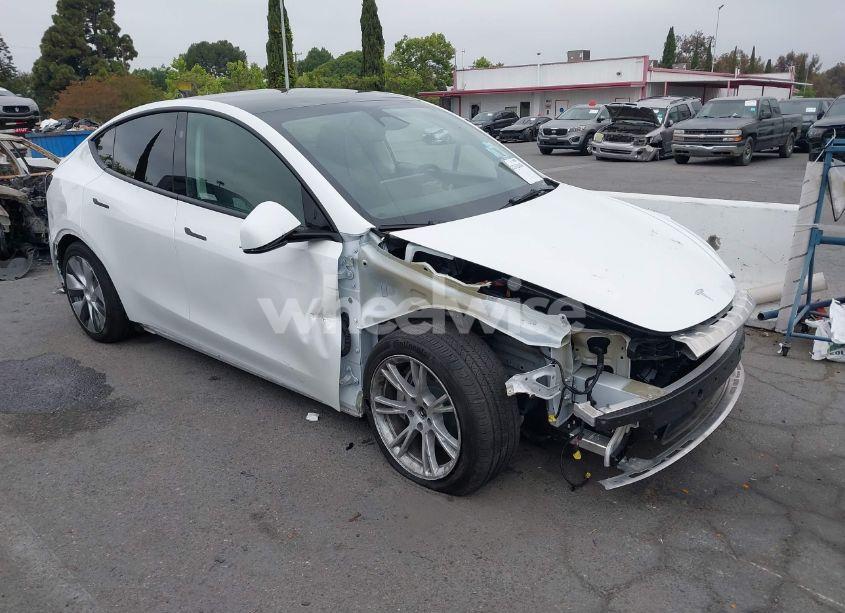 2023 Tesla Model Y AWD/LONG RANGE DUAL MOTOR ALL-WHEEL DRIVE (VIN 7SAYGDEE4PF807551) main photo