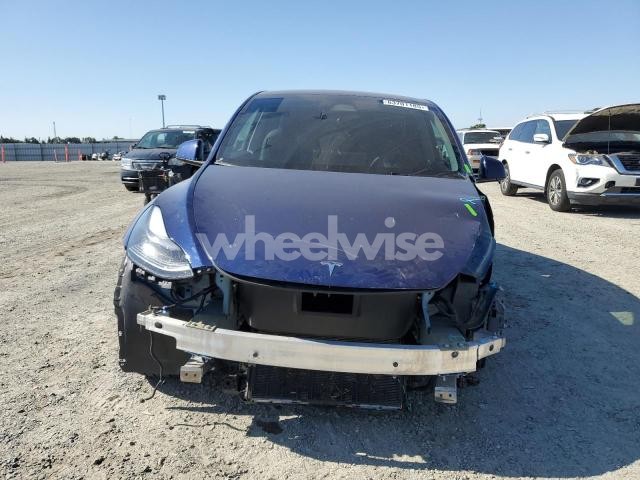 2023 TESLA MODEL Y (VIN 7SAYGDEE4PF871430) main photo