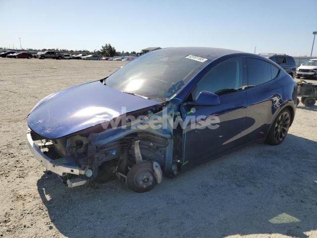 Photo 13 of 2023 TESLA MODEL Y (VIN 7SAYGDEE4PF871430)