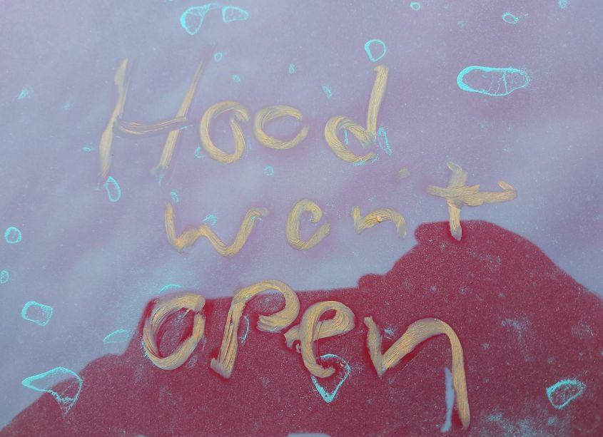 Photo 10 of 2023 Tesla Model Y AWD/LONG RANGE DUAL MOTOR ALL-WHEEL DRIVE (VIN 7SAYGDEE4PF890611)