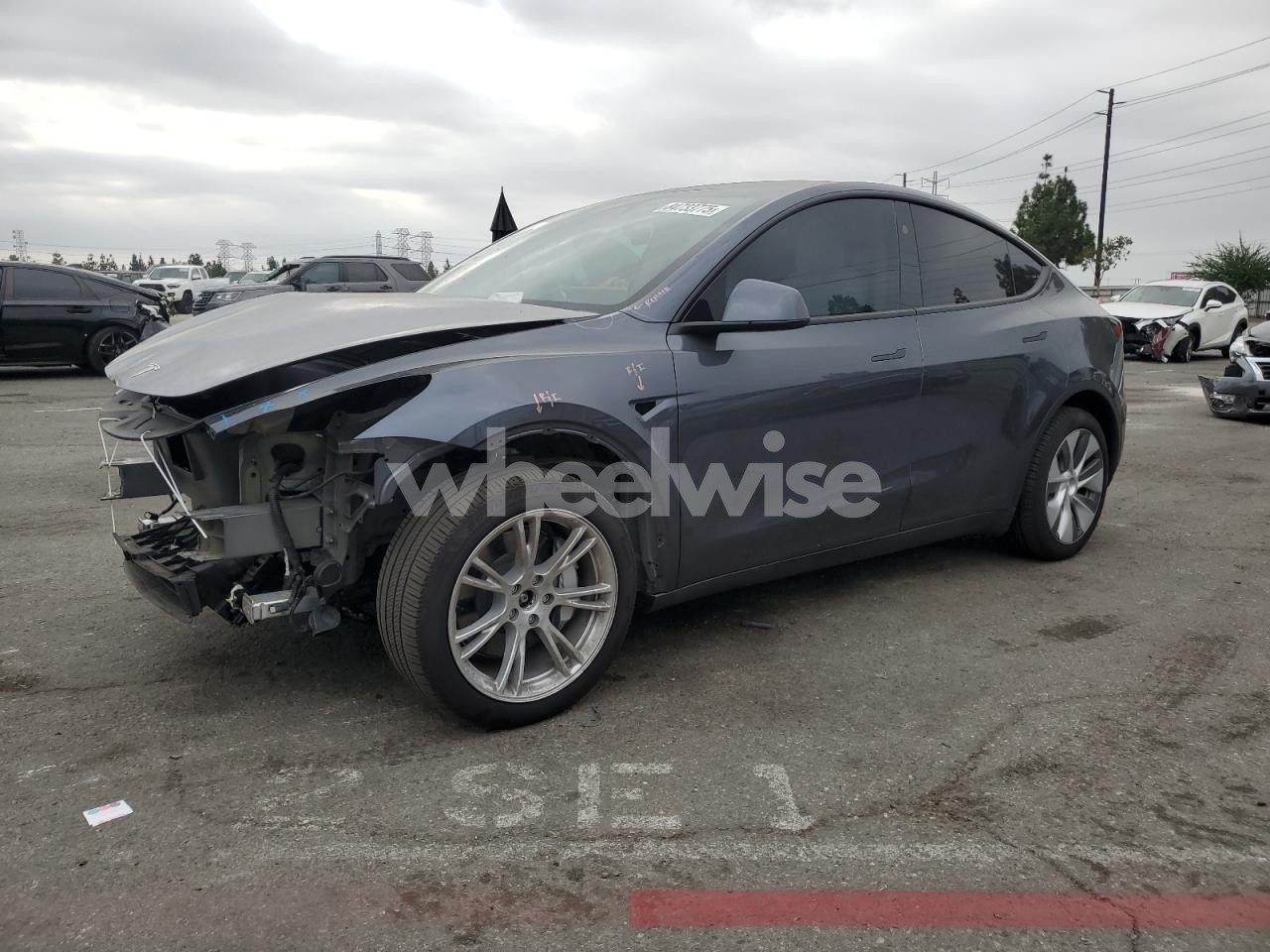 2024 TESLA MODEL Y (VIN 7SAYGDEE4RA216054) main photo