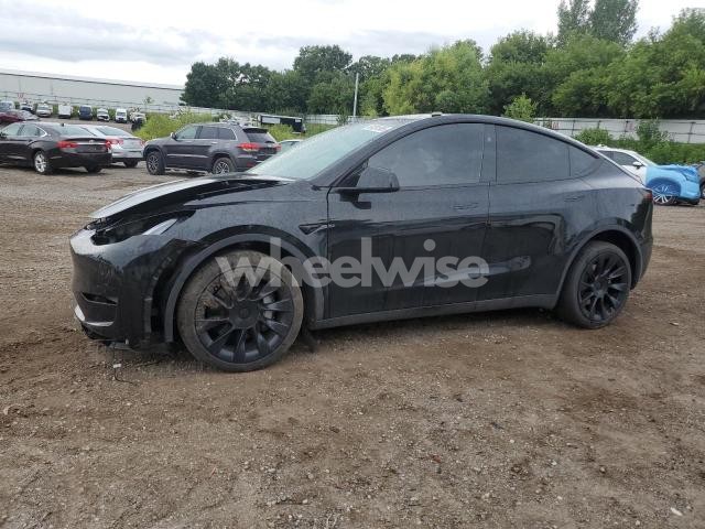 2024 TESLA MODEL Y (VIN 7SAYGDEE4RA268994) main photo