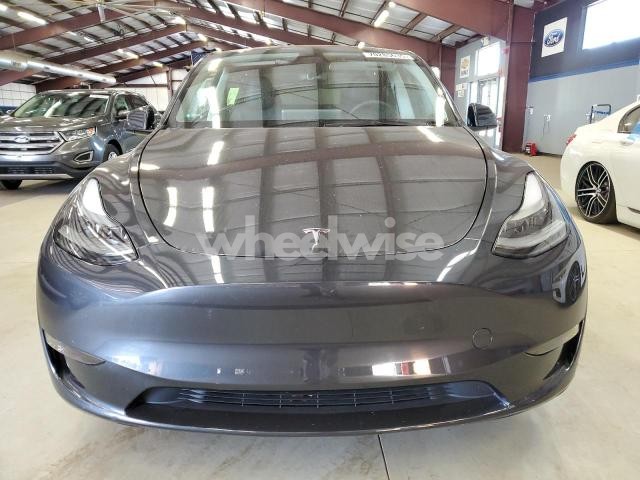 2024 TESLA MODEL Y (VIN 7SAYGDEE4RF023552) main photo