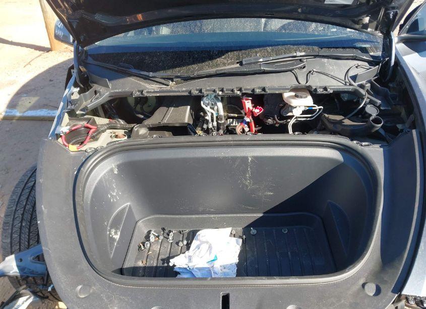 Photo 10 of 2023 Tesla Model Y (VIN 7SAYGDEE5PA037289)