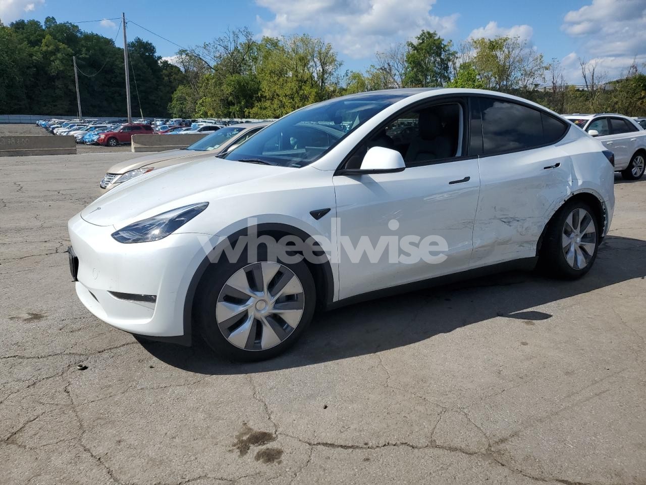 2023 TESLA MODEL Y (VIN 7SAYGDEE5PA166830) main photo