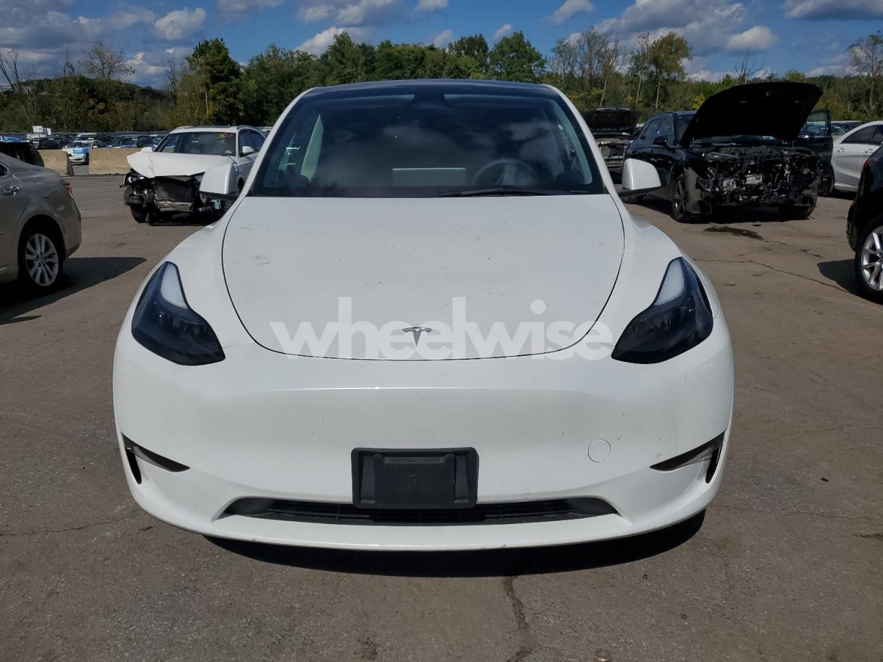 Photo 5 of 2023 TESLA MODEL Y (VIN 7SAYGDEE5PA166830)