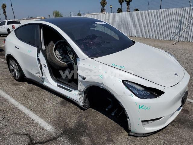 2023 TESLA MODEL Y (VIN 7SAYGDEE5PF602269) main photo