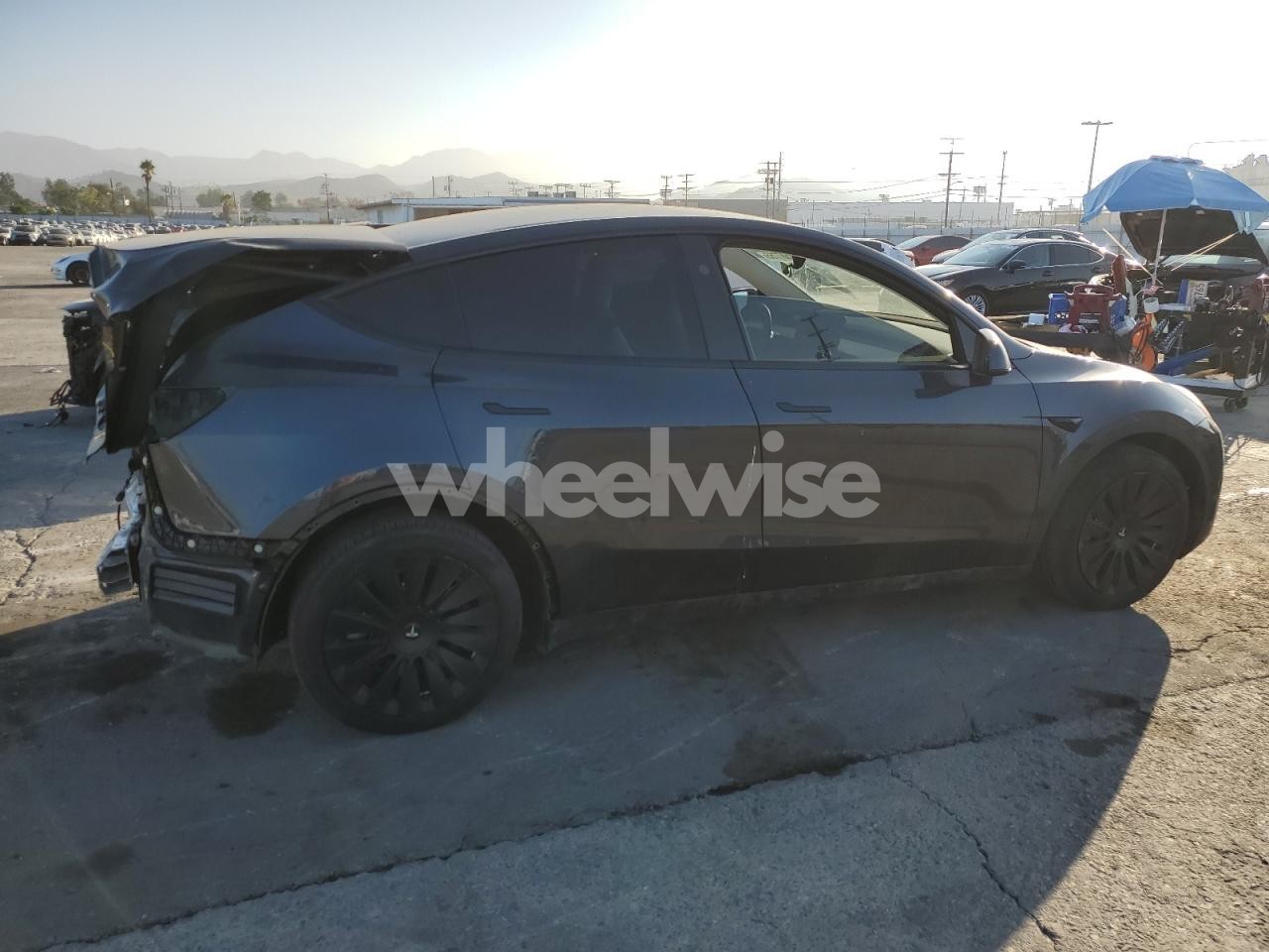 Photo 3 of 2024 TESLA MODEL Y (VIN 7SAYGDEE5RA265246)