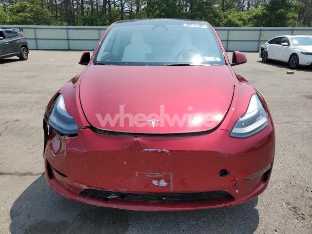 Photo 11 of 2024 TESLA MODEL Y (VIN 7SAYGDEE5RA305759)