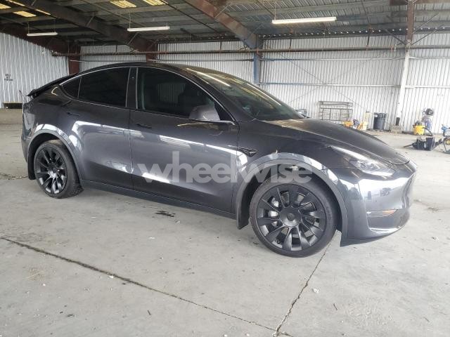 2024 TESLA MODEL Y (VIN 7SAYGDEE5RF013967) main photo