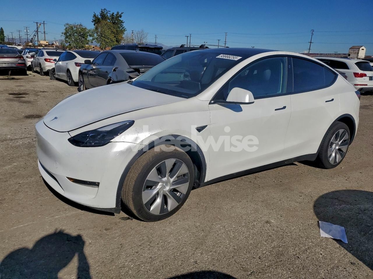 2024 TESLA MODEL Y (VIN 7SAYGDEE5RF066748) main photo