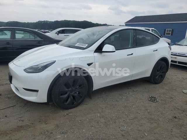 2025 TESLA MODEL Y (VIN 7SAYGDEE5SF306967) main photo