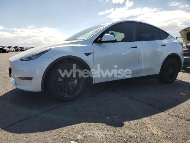 Photo 13 of 2023 TESLA MODEL Y (VIN 7SAYGDEE6PA068597)