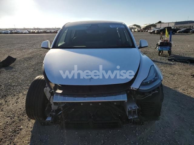 Photo 3 of 2023 TESLA MODEL Y (VIN 7SAYGDEE6PA080958)