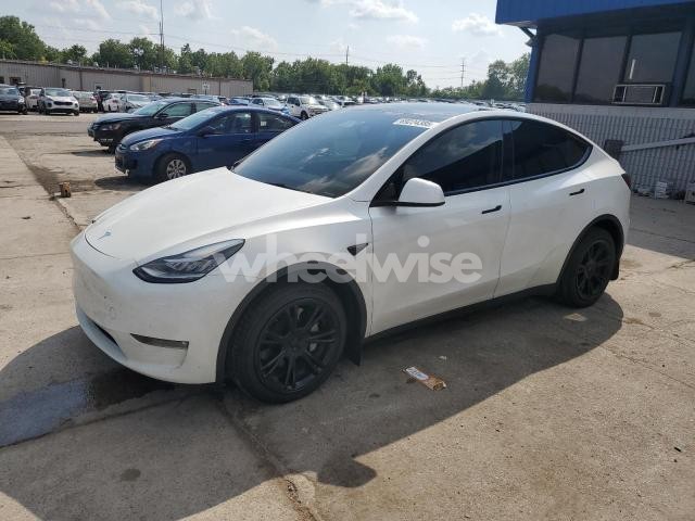 Photo 8 of 2023 TESLA MODEL Y (VIN 7SAYGDEE6PF599897)