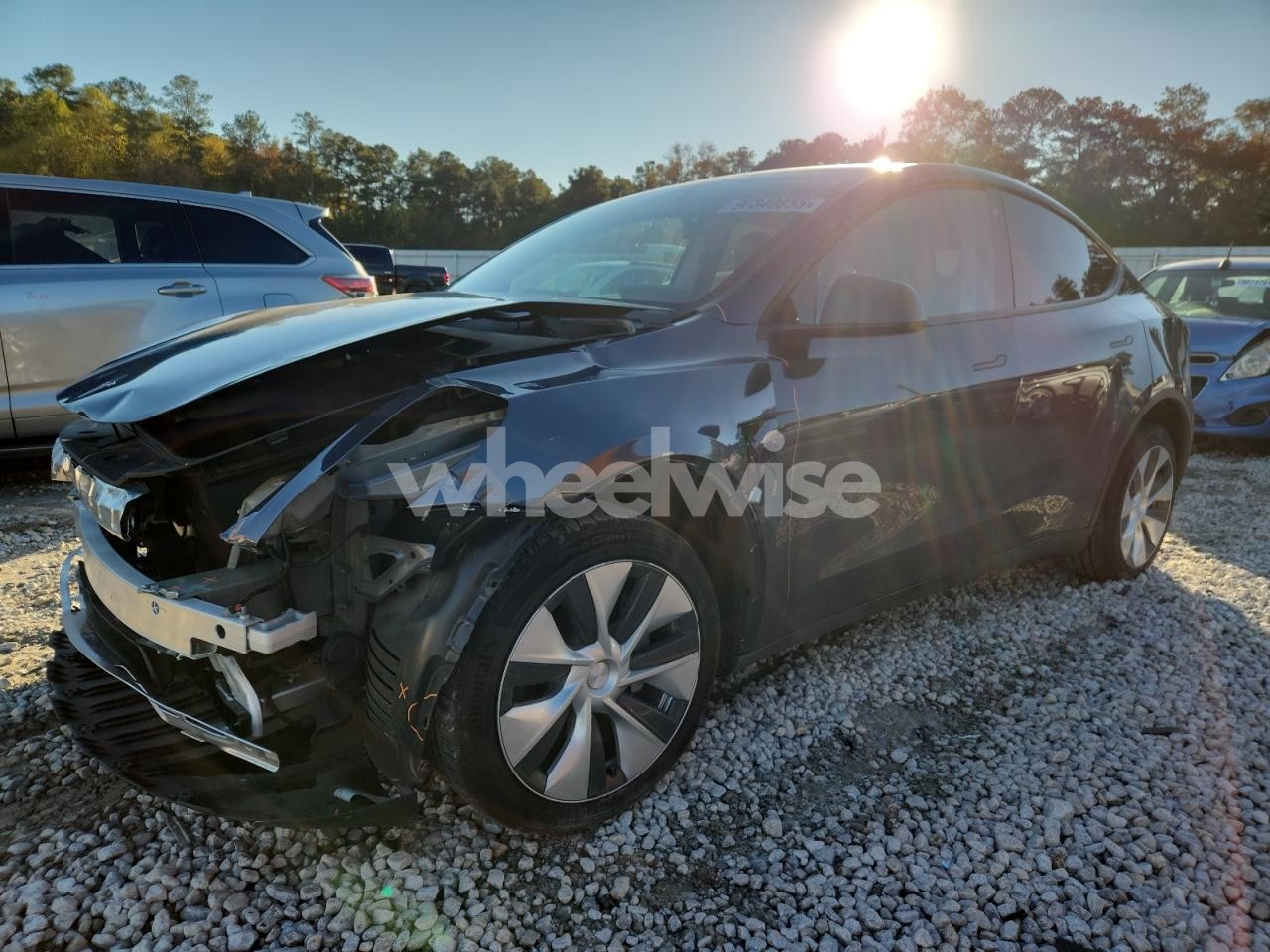 2023 TESLA MODEL Y (VIN 7SAYGDEE6PF669849) main photo