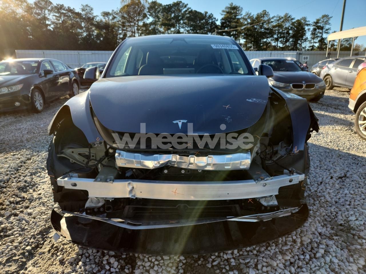 Photo 5 of 2023 TESLA MODEL Y (VIN 7SAYGDEE6PF669849)