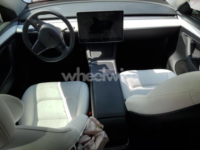 2023 TESLA MODEL Y (VIN 7SAYGDEE6PF847839) main photo