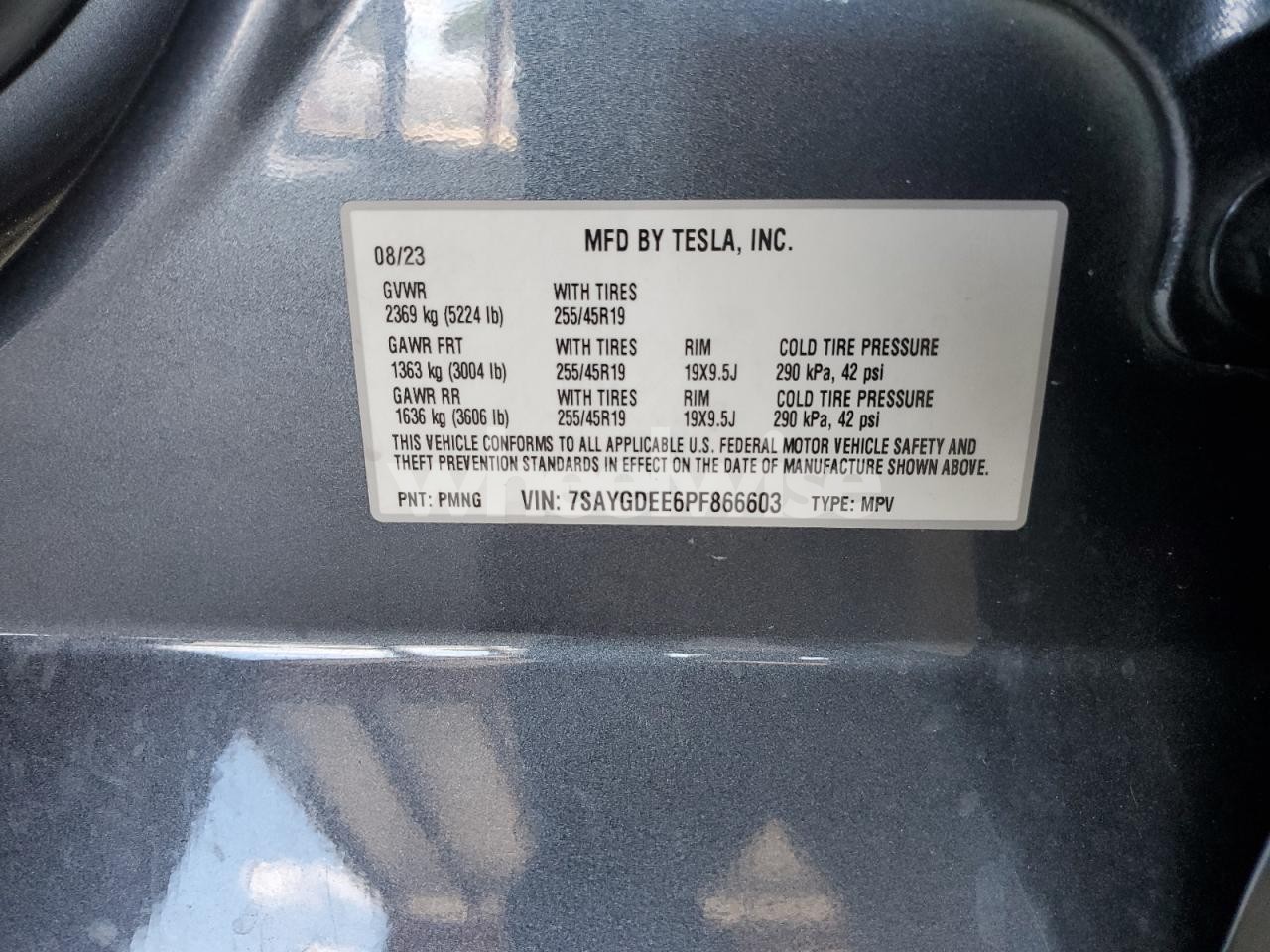 Photo 14 of 2023 TESLA MODEL Y (VIN 7SAYGDEE6PF866603)