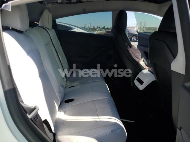 2024 TESLA MODEL Y (VIN 7SAYGDEE6RF083400) main photo