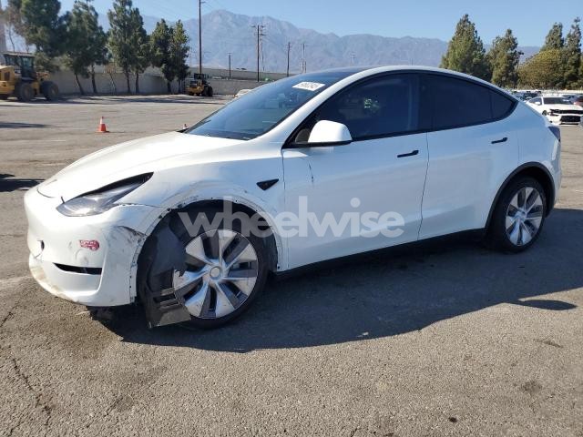 Photo 12 of 2024 TESLA MODEL Y (VIN 7SAYGDEE6RF083400)