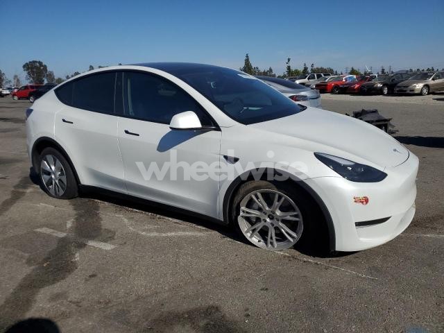 Photo 13 of 2024 TESLA MODEL Y (VIN 7SAYGDEE6RF083400)